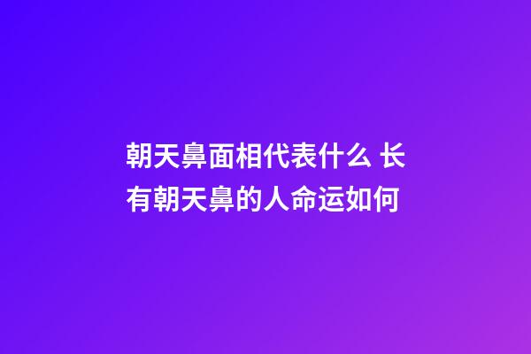 朝天鼻面相代表什么 长有朝天鼻的人命运如何